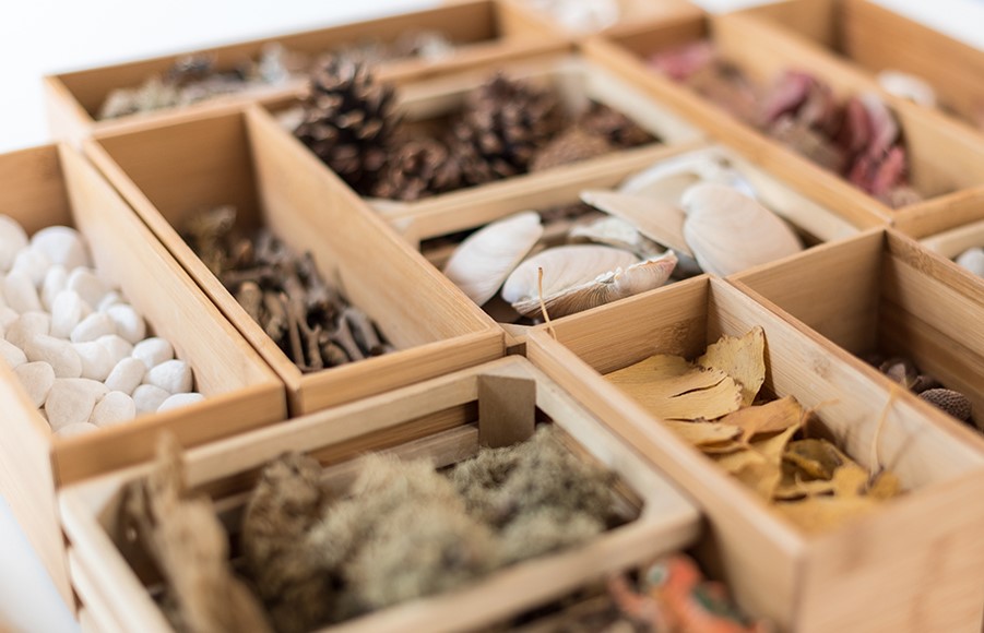 Learning Environment