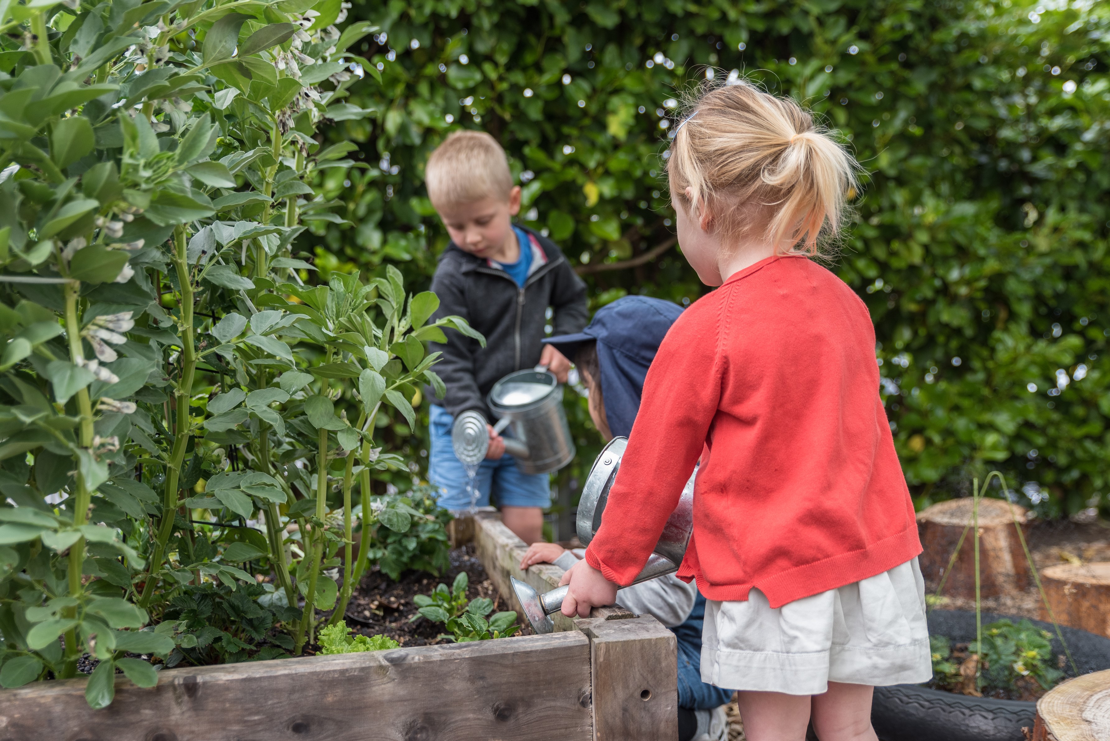 The beautifully open ended nature of nature